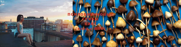 мяу мяу кристалл Магадан