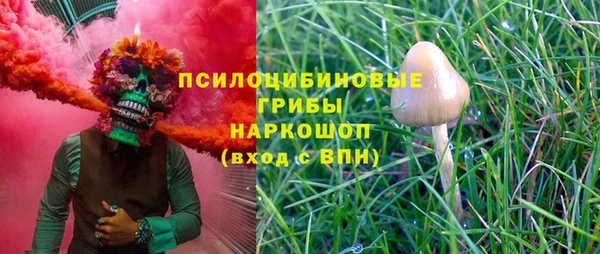 хмурый Магас