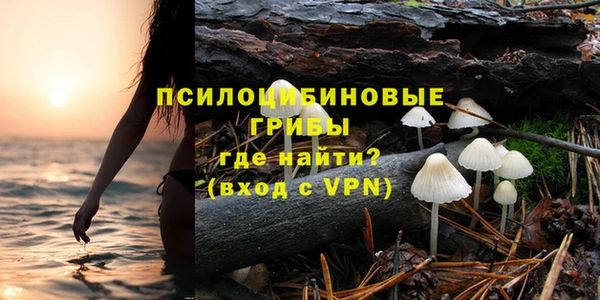 хмурый Магас