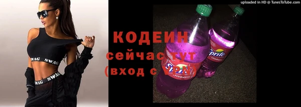 хмурый Магас
