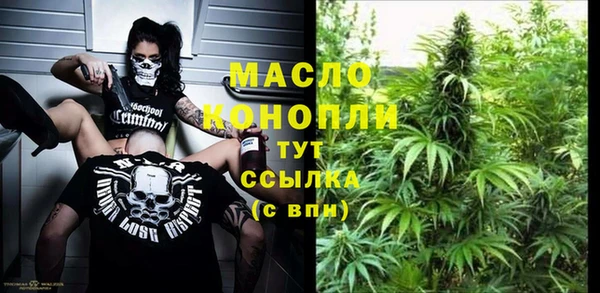 хмурый Магас
