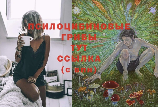 амф Майский