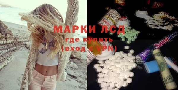 хмурый Магас