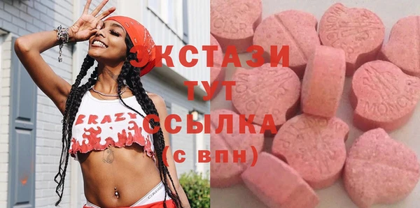 хмурый Магас