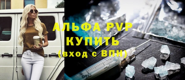 хмурый Магас