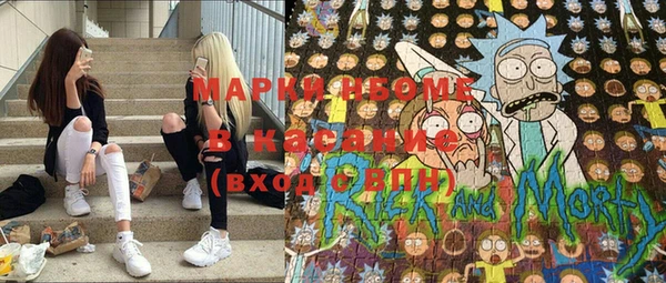 хмурый Магас