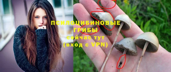 амф Майский
